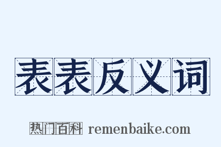 表表反义词是什么意思的图片